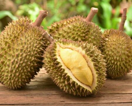 Durian